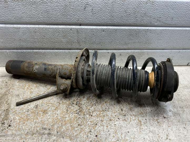 Volkswagen Golf V (2003 - 2009)  1T0413031DS Передний амортизатор