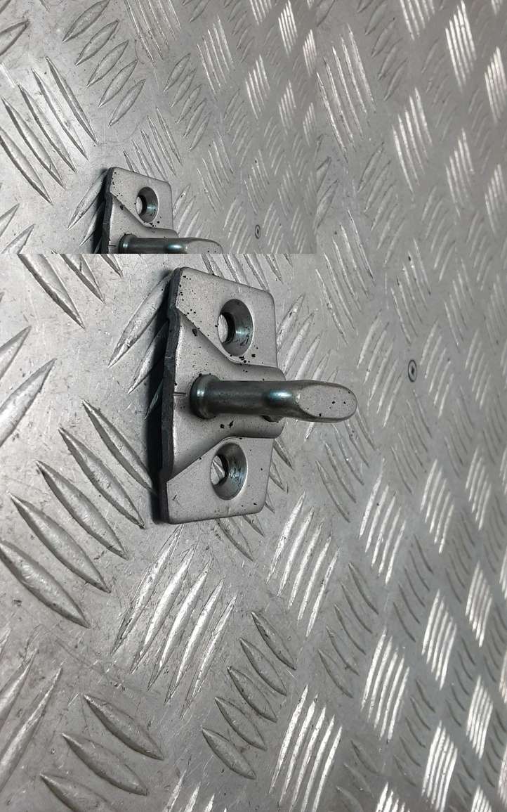 BMW 3 F30 F35 F31 (2012 - 2018)  7249639 Петля замка задней двери