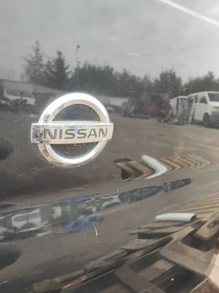 Nissan Primastar (2001 - 2014) Багажная дверь — фото 12