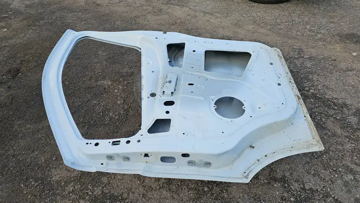Opel Vivaro (2014 - 2018) Дверь — фото 4