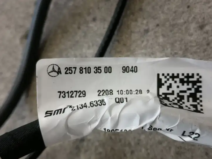 Mercedes-Benz CLS w257 (2018 - ) A2578103500 Боковое зеркало с электроприводом — фото 7