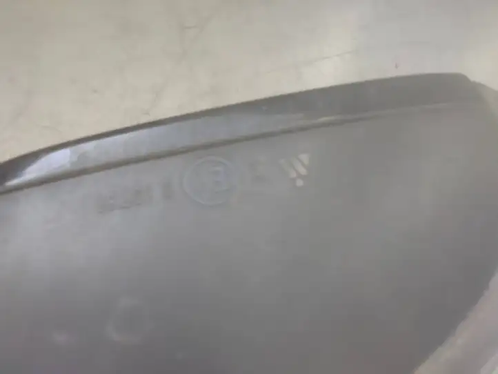 Volkswagen PASSAT B6 (2005 - 2010) E1010781 Боковое зеркало с электроприводом — фото 4