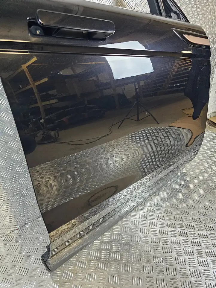 Land Rover Evoque II (2018 - ) Дверь — фото 3