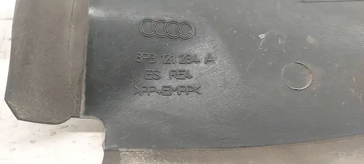 Audi A3/S3 8P (2003 - 2005) 8P3121284A Дефлектор воздуха — фото 4