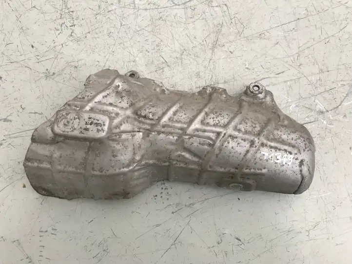 Opel Insignia A (2008 - 2017) 55572583 Теплоизоляция (теплозащита) — фото 1