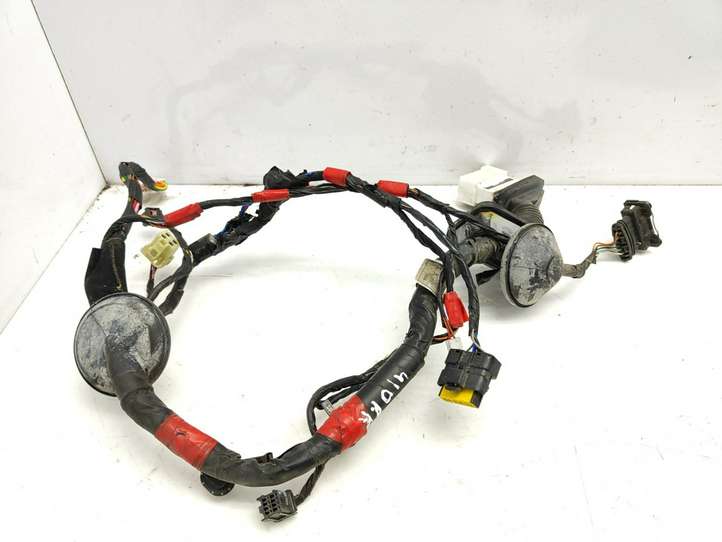 Hyundai Sonata (2003 - 2007)  916003K131 Проводка передних дверей