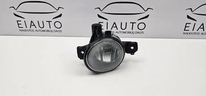 BMW X5 E70 (2006 - 2013) 89206152 Передняя противотуманная фара — фото 1
