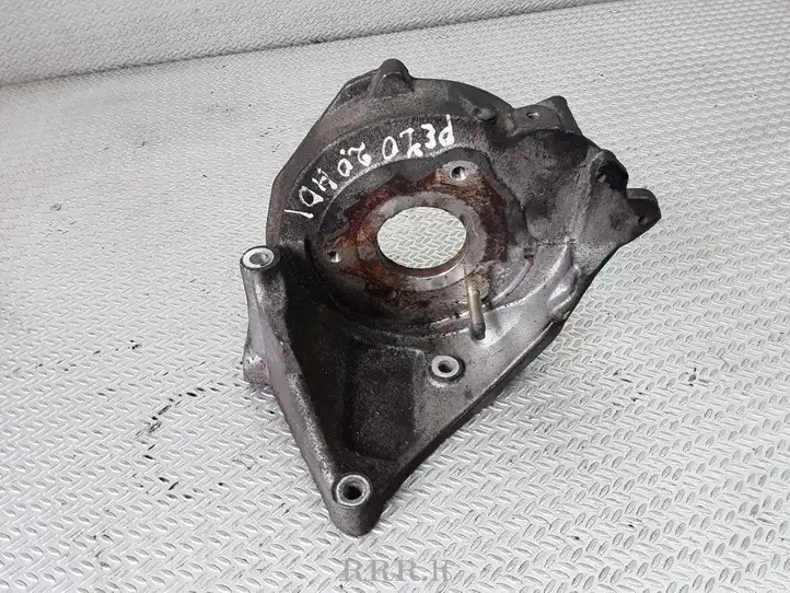 Peugeot 206 (1998 - 2012) 96389217 Кронштейн топливного насоса — фото 1