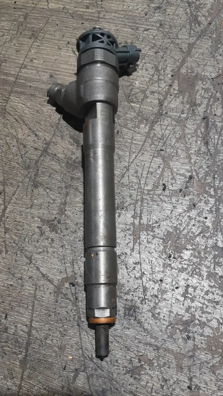 Renault Trafic III (X82) (2014 - ) 0445110569 Форсунка — фото 1