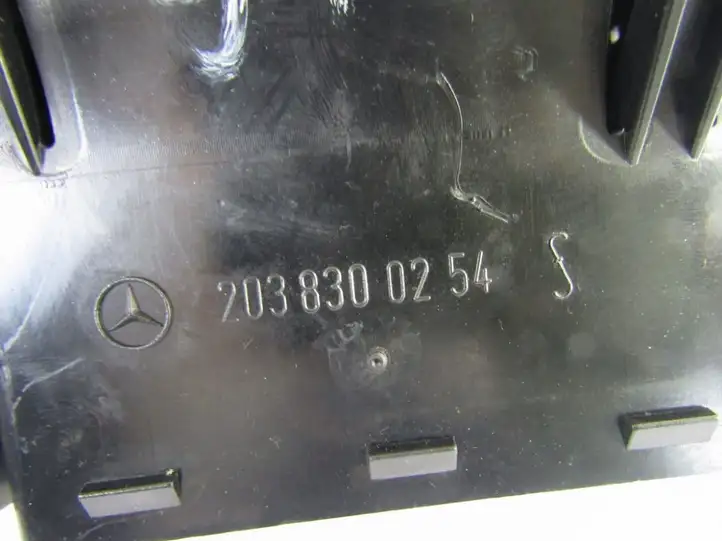 Mercedes-Benz C W203 (2000 - 2007) Центральный воздушный дефлектор — фото 2