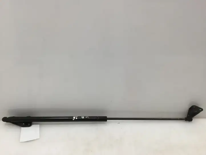 Nissan Juke I F15 (2010 - 2018) 904501KA1A — фото 1