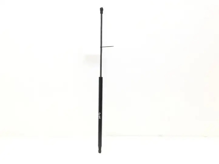 Nissan Juke I F15 (2010 - 2018) 904501KA1B — фото 1