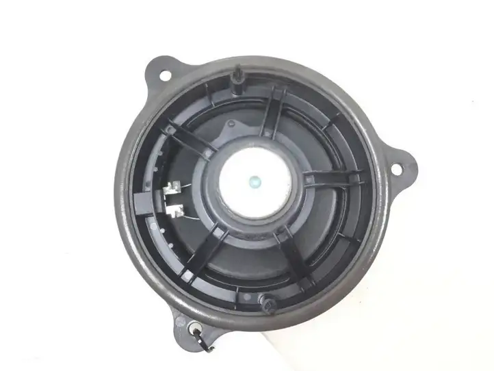 Nissan Juke I F15 (2010 - 2018) Динамики задних дверей — фото 2