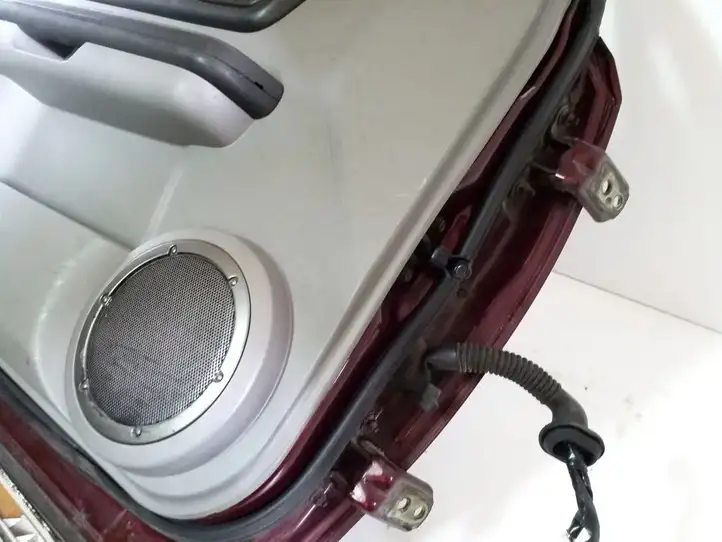 Nissan X-Trail T30 (2001 - 2007) Дверь — фото 3