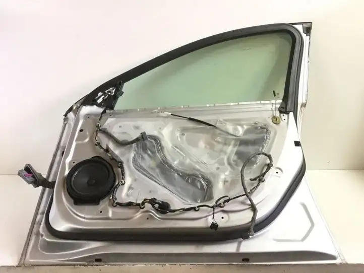 Opel Insignia A (2008 - 2017) Дверь — фото 5
