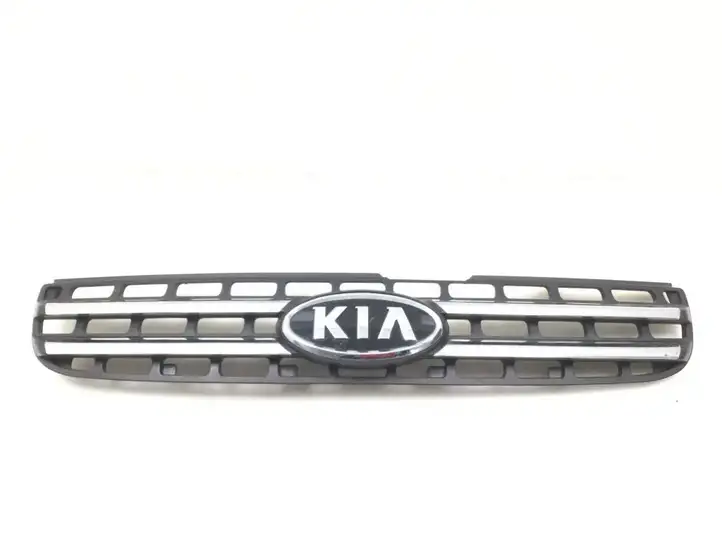Kia Sportage (2004 - 2008) Передняя решетка — фото 1