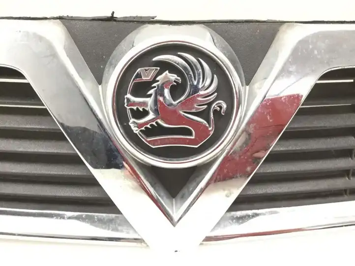 Opel Signum (2002 - 2008) Передняя решетка — фото 3