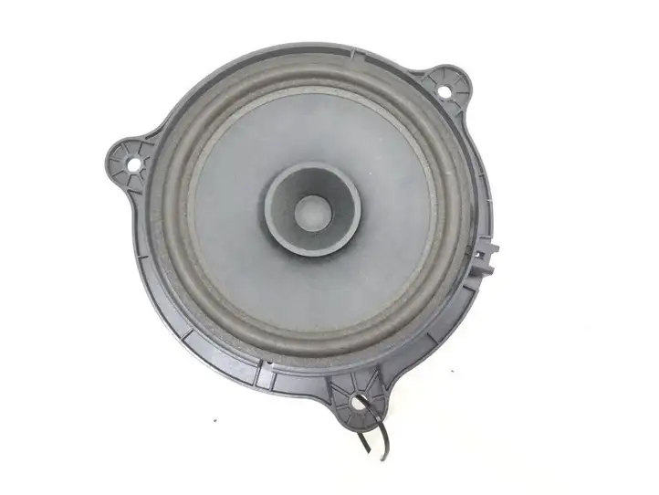 Nissan Qashqai (2006 - 2010) Динамики задних дверей — фото 1
