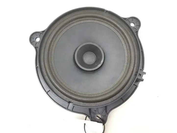 Nissan Qashqai (2006 - 2010) Динамики задних дверей — фото 1