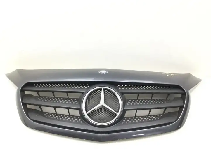 Mercedes-Benz Citan W415 (2013 - 2021) A4158880023 Передняя решетка — фото 1