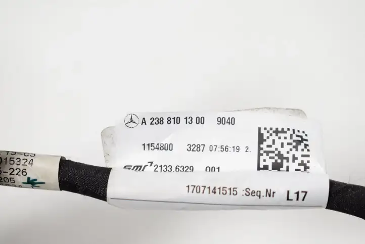 Mercedes-Benz E W238 (2017 - ) A2388101300 Боковое зеркало с электроприводом — фото 8