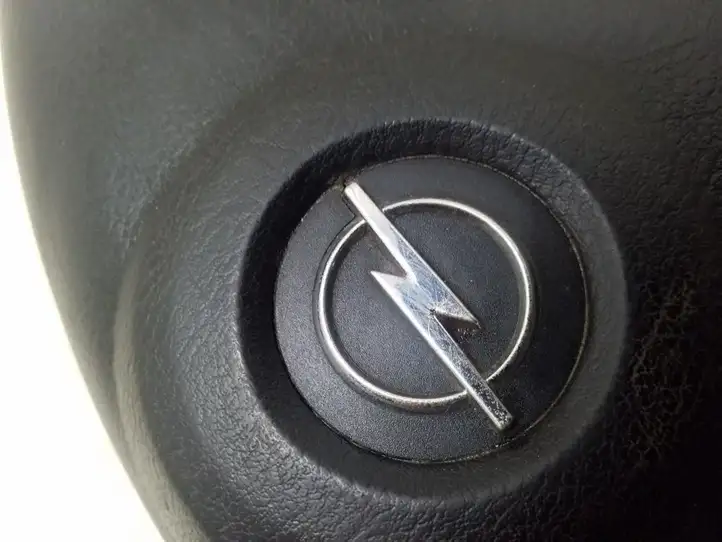 Opel Movano A (1998 - 2010) 820018863 Подушка безопасности руля — фото 2