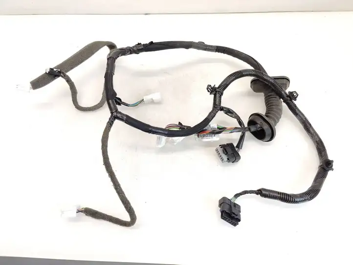 Nissan Qashqai (2013 - 2017) 24125HV00C Проводка передней двери — фото 1