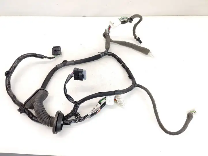 Nissan Qashqai (2013 - 2017) 24125HV00C Проводка передней двери — фото 2