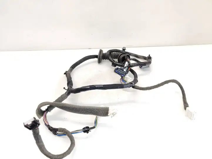 Nissan Qashqai (2013 - 2017) 24125HV00C Проводка передней двери — фото 4
