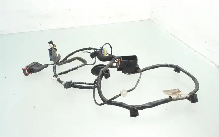 Opel Zafira (2003 - 2006)  13201591 Проводка передних дверей