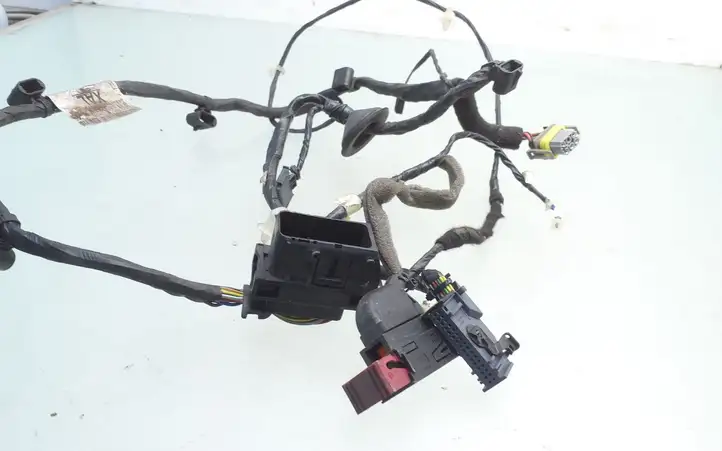 Opel Zafira (2003 - 2006)  13201591 Проводка передних дверей