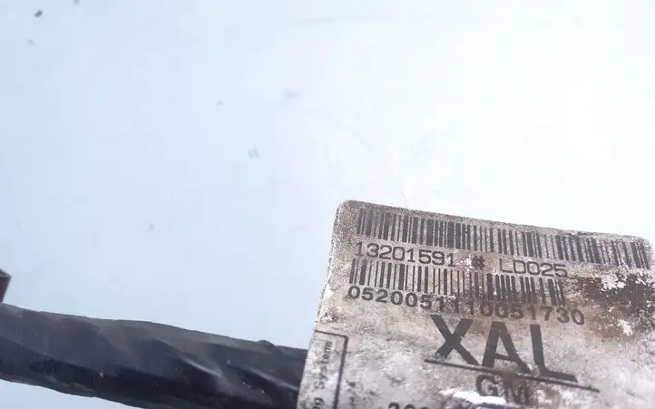 Opel Zafira (2003 - 2006)  13201591 Проводка передних дверей