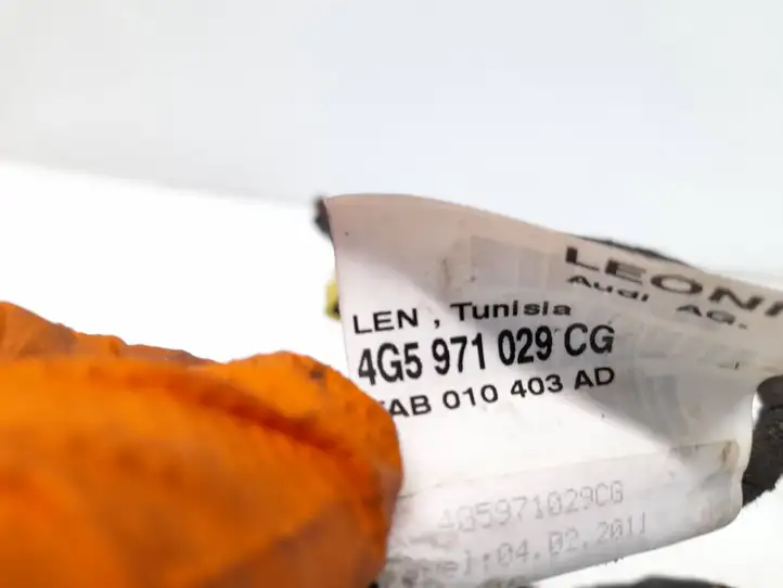 Audi A6 (2011 - 2014)  4G5971029CG Проводка передних дверей