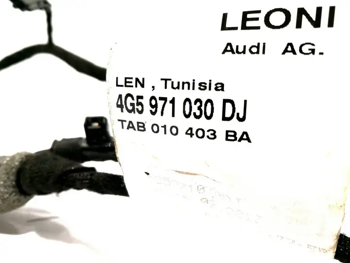 Audi A6 allroad (2012 - 2014)  4G5971030DJ Проводка передних дверей