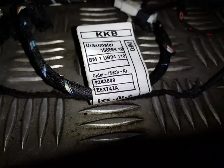 BMW X3 F25 (2010 - 2017) 9243649 Проводка передней двери — фото 2
