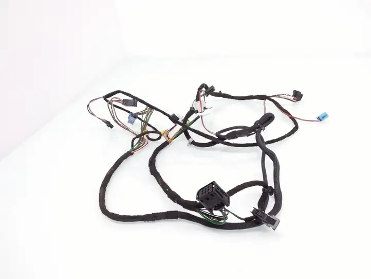 Mercedes-Benz CLK A209,C209 (2002 - 2009)  A2095407105 Проводка передних дверей