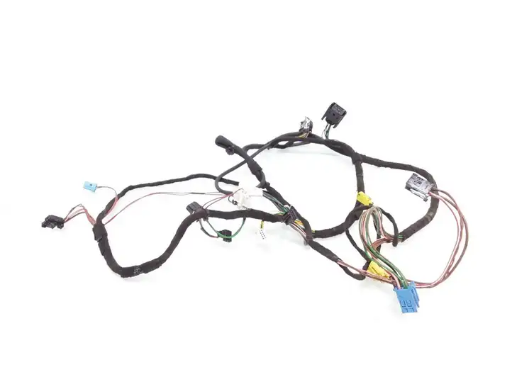 Mercedes-Benz CLK A209,C209 (2002 - 2009)  A2095407105 Проводка передних дверей