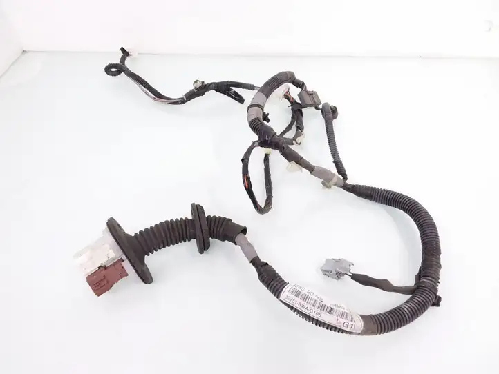 Honda CR-V (2006 - 2009) 32751SWAG105 Проводка передней двери — фото 1