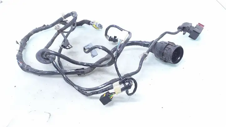 Opel Astra (1998 - 2004)   Проводка передних дверей