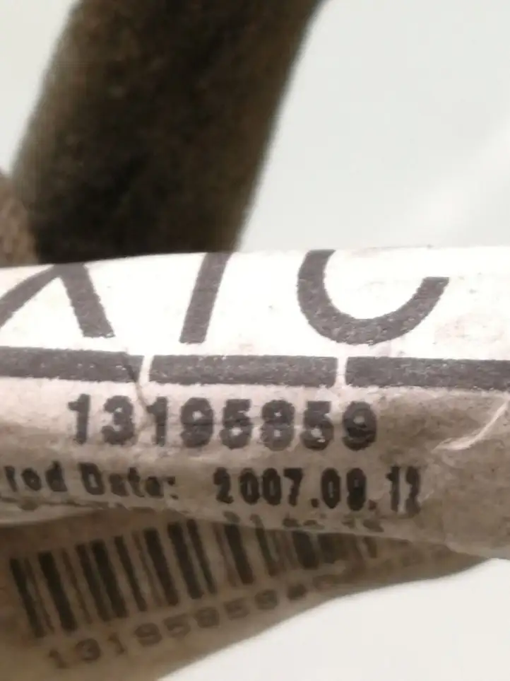 Opel Vectra (2005 - 2009)  13195859 Проводка передних дверей