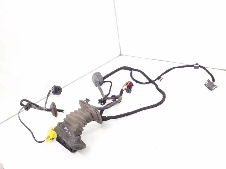 Volkswagen PASSAT B6 (2005 - 2010)  3C1971120AJ Проводка передних дверей