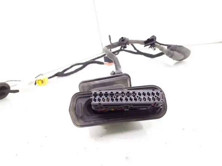 Volkswagen PASSAT B6 (2005 - 2010)  3C1971120AJ Проводка передних дверей