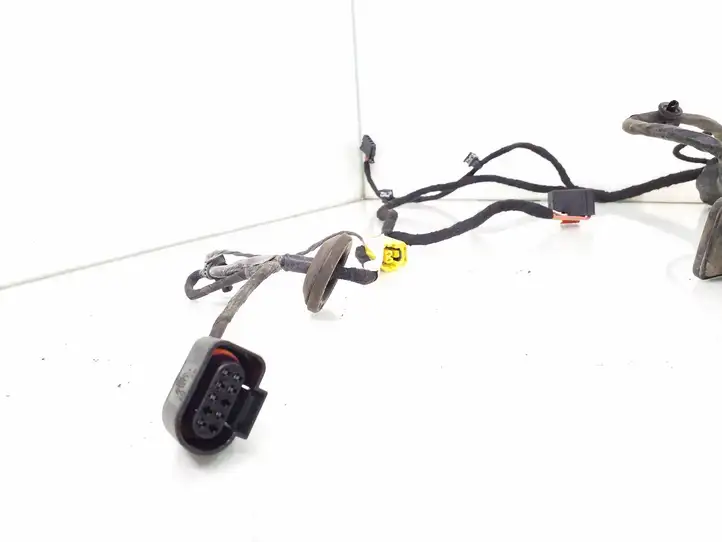 Volkswagen PASSAT B6 (2005 - 2010)  3C1971120AJ Проводка передних дверей