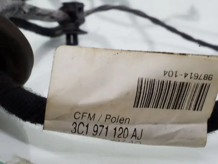 Volkswagen PASSAT B6 (2005 - 2010)  3C1971120AJ Проводка передних дверей