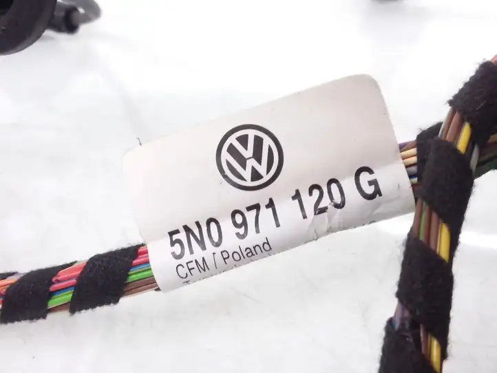 Volkswagen Tiguan (2007 - 2011) 5N0971120G Проводка передней двери — фото 3