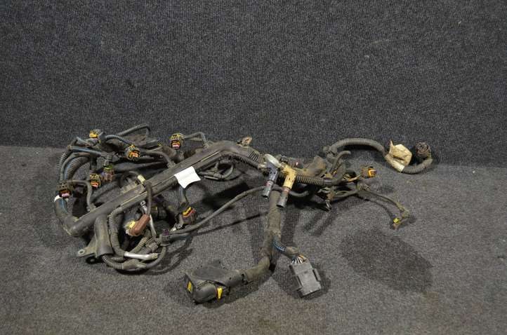 Nissan Qashqai (2013 - 2017)  00552433270 Проводка двигателя