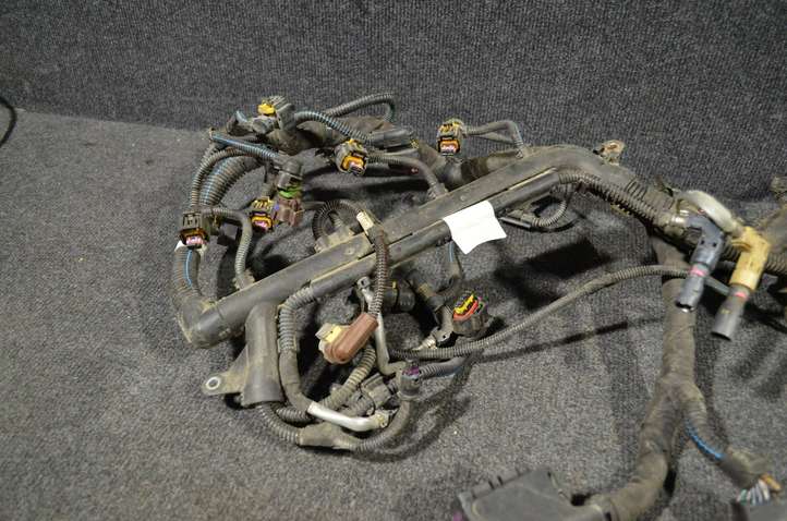 Nissan Qashqai (2013 - 2017)  00552433270 Проводка двигателя