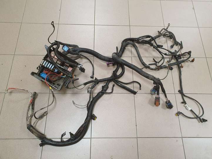 Opel Vivaro (2001 - 2006)  820040849908 Проводка двигателя