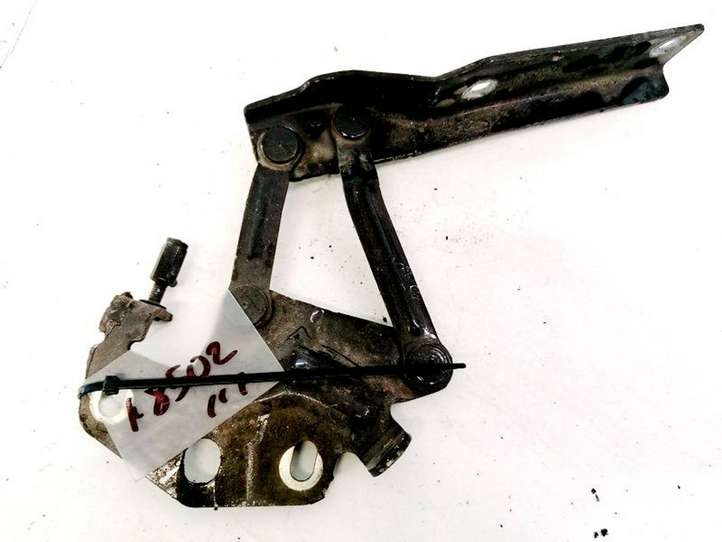 Volkswagen PASSAT B6 (2005 - 2010)  3C0823301D Петля (петли) капота