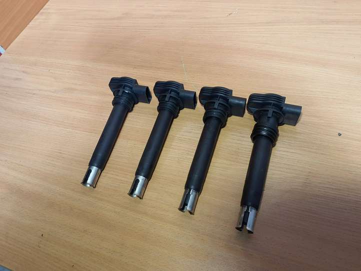 Volkswagen PASSAT B6 (2005 - 2010)  0221604115 Реле высокого напряжения (катушка зажигания, бобина)